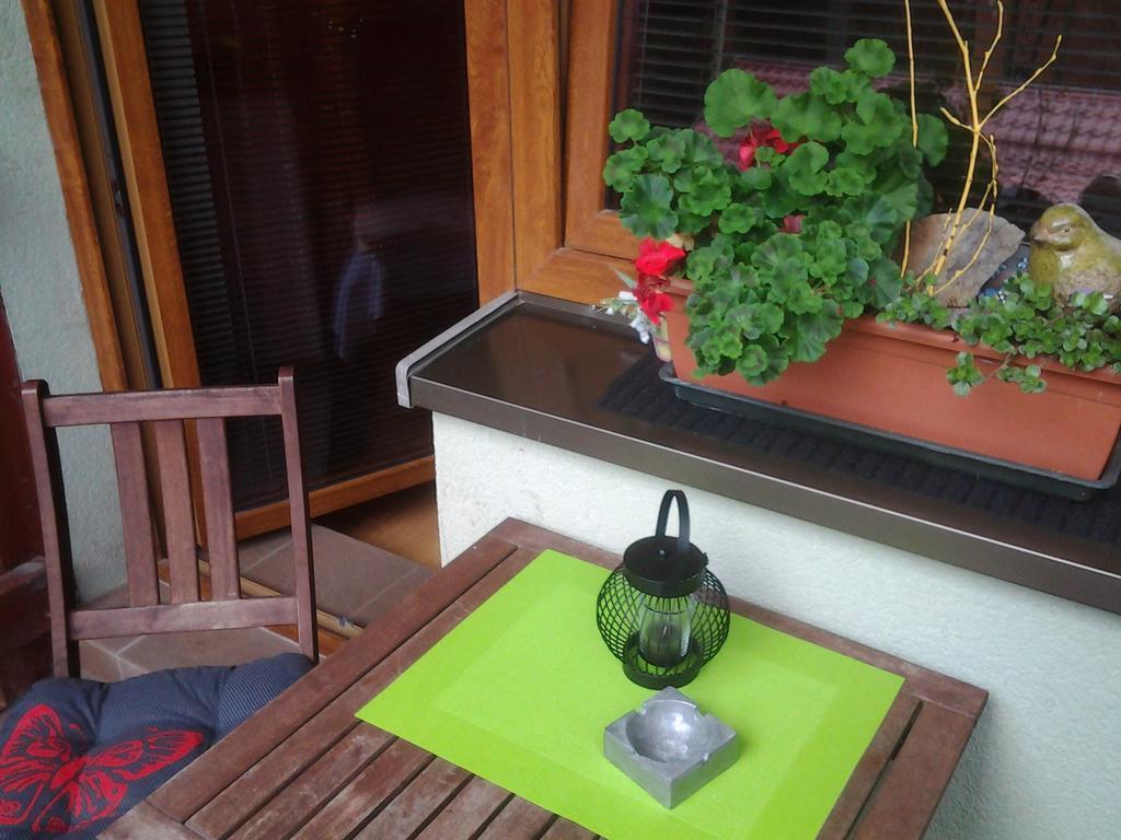 Apartmán Fatrapark 1 - U Sovičky Rózsahegy Kültér fotó