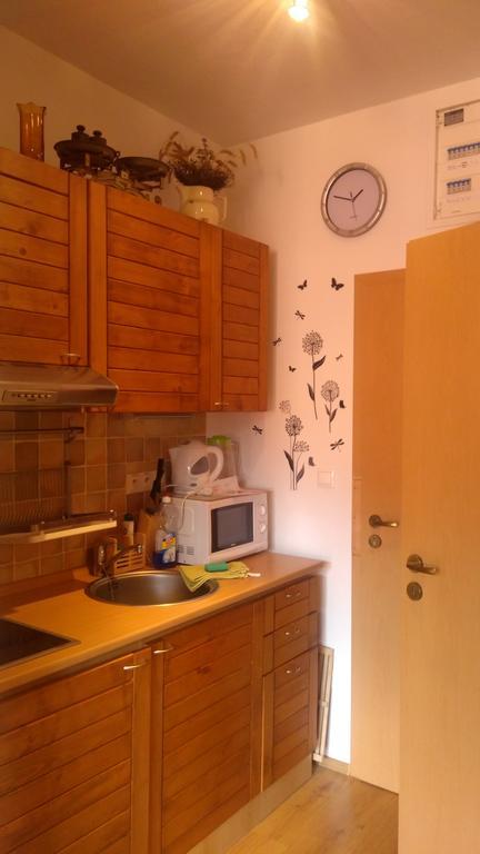 Apartmán Fatrapark 1 - U Sovičky Rózsahegy Kültér fotó